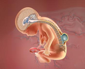 MG电子游戏(中国集团)官方网站