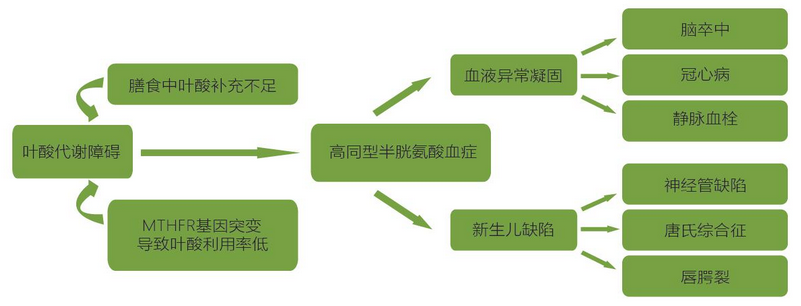 MG电子游戏(中国集团)官方网站