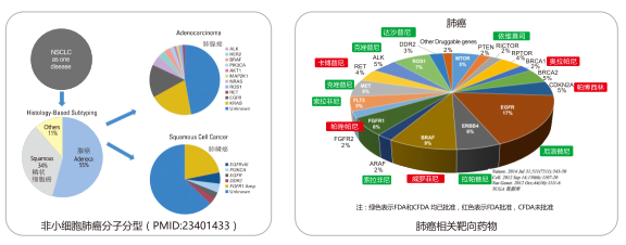 MG电子游戏(中国集团)官方网站
