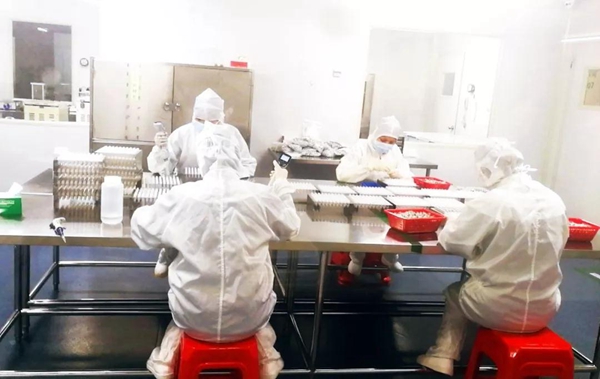 MG电子游戏(中国集团)官方网站