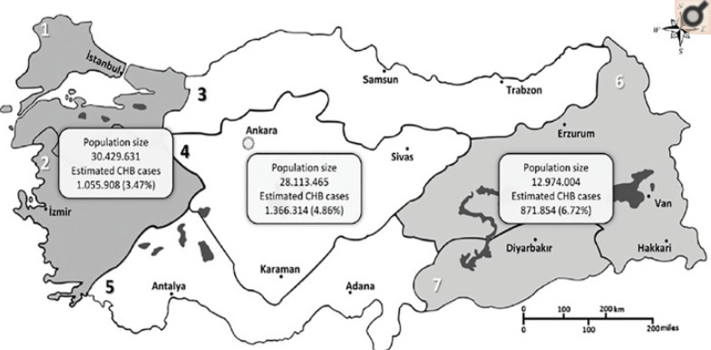 MG电子游戏(中国集团)官方网站