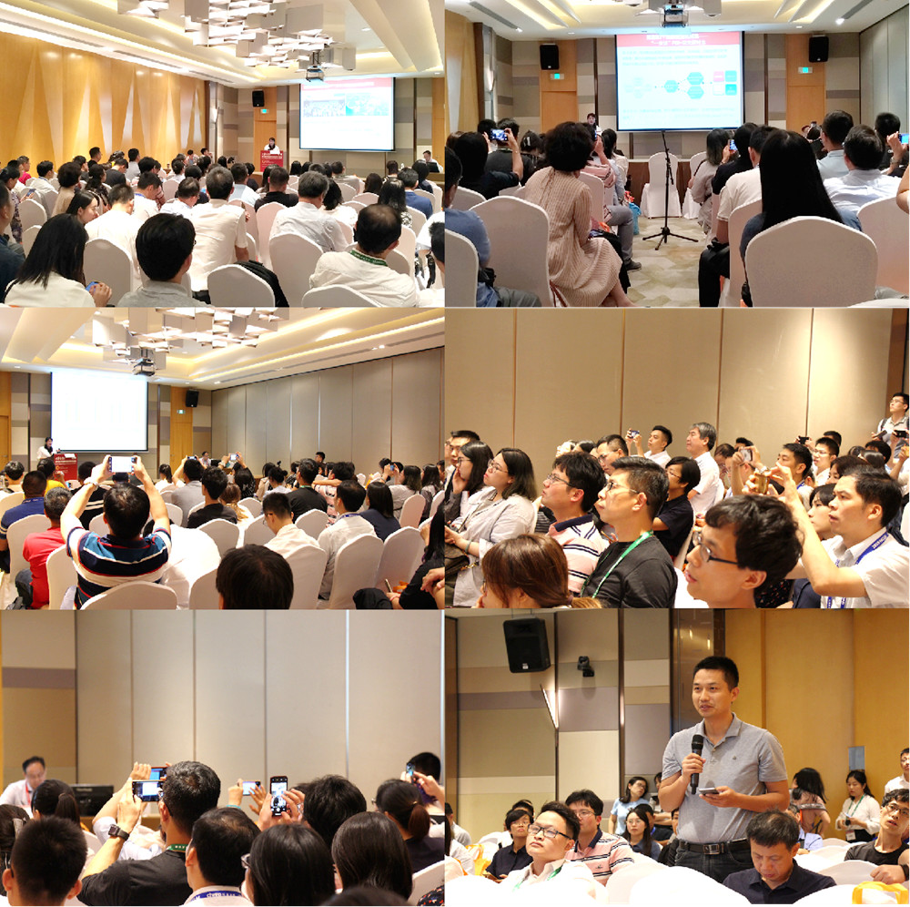 MG电子游戏(中国集团)官方网站