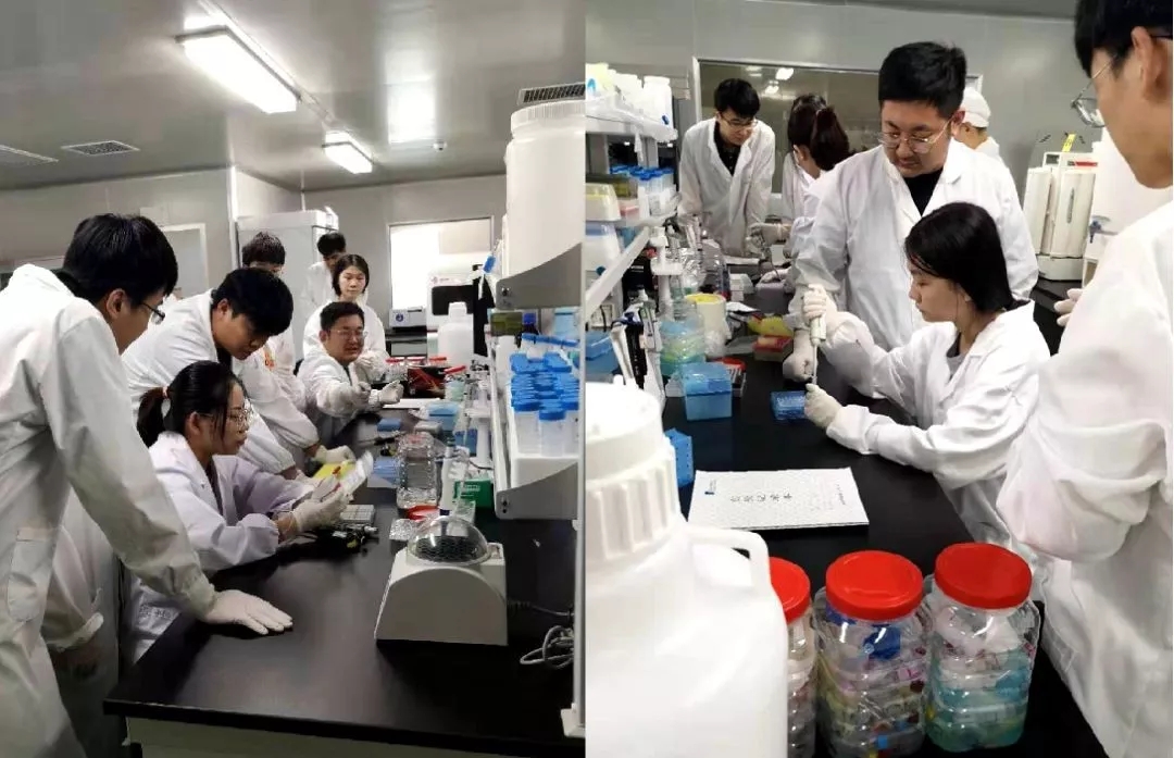 MG电子游戏(中国集团)官方网站