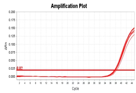MG电子游戏(中国集团)官方网站