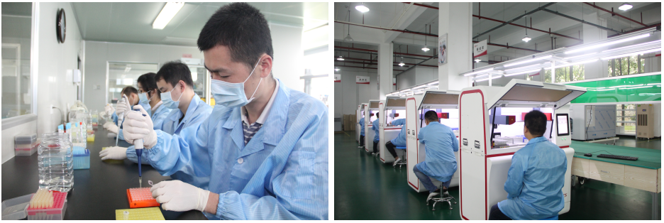 MG电子游戏(中国集团)官方网站