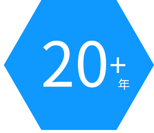 蜂窝IoT和Telematics行业履历