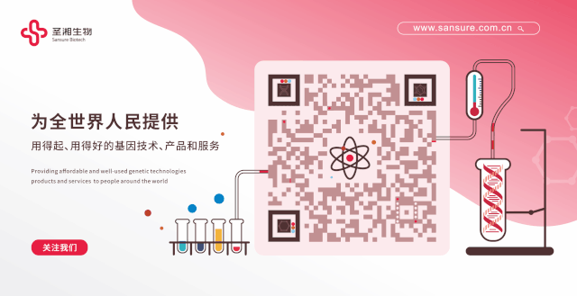 MG电子游戏(中国集团)官方网站