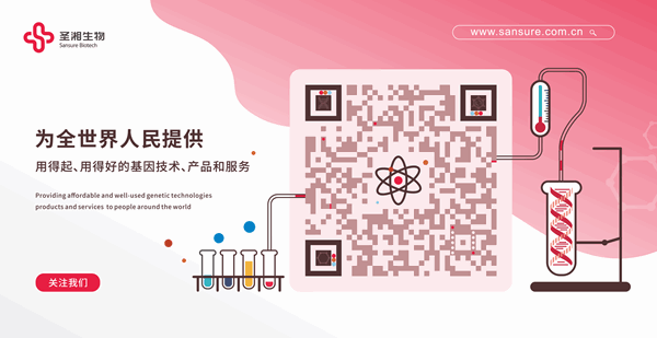 MG电子游戏(中国集团)官方网站