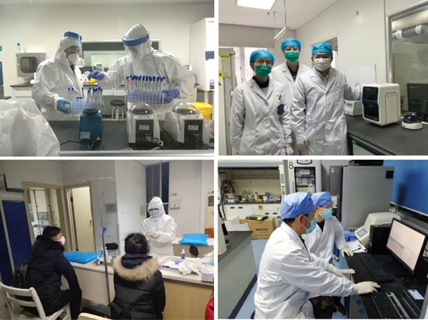 MG电子游戏(中国集团)官方网站