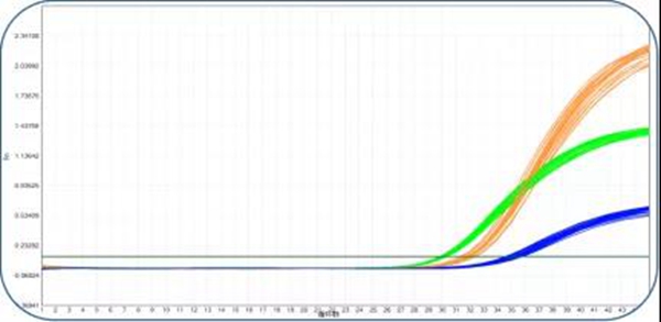 MG电子游戏(中国集团)官方网站
