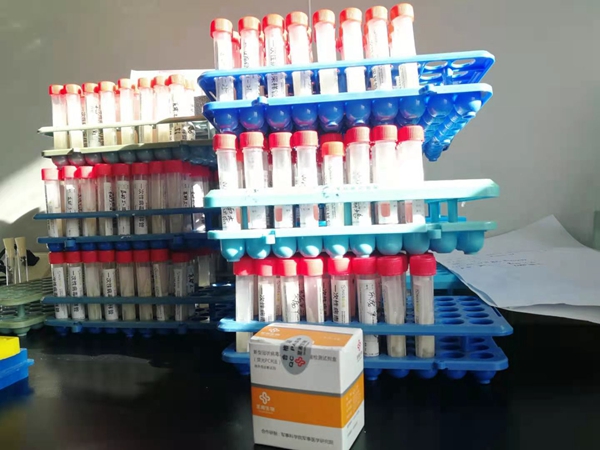 MG电子游戏(中国集团)官方网站