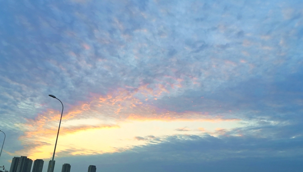 MG电子游戏(中国集团)官方网站