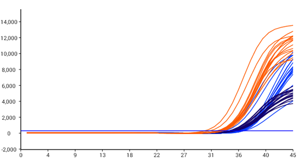 MG电子游戏(中国集团)官方网站
