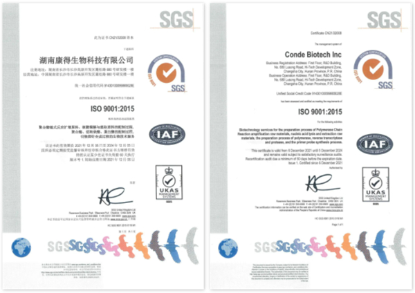 MG电子游戏(中国集团)官方网站