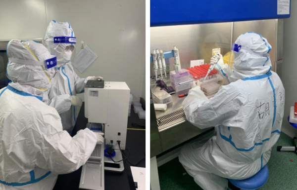 MG电子游戏(中国集团)官方网站