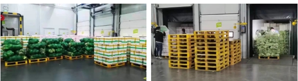 MG电子游戏(中国集团)官方网站